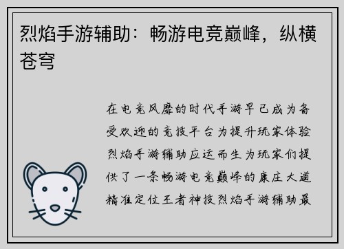 烈焰手游辅助：畅游电竞巅峰，纵横苍穹
